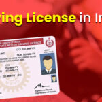 Driving Licence